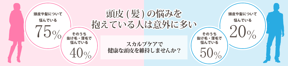 頭皮の悩みを抱えている人は女性で75％、男性で20％そのうち抜け毛、薄毛で悩んでいる方、女性40％、男性50％もいます。スカルプケアで健康な頭皮を維持しませんか